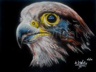 Golden eagle Painting